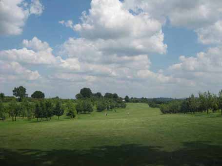Gallery Photo 7